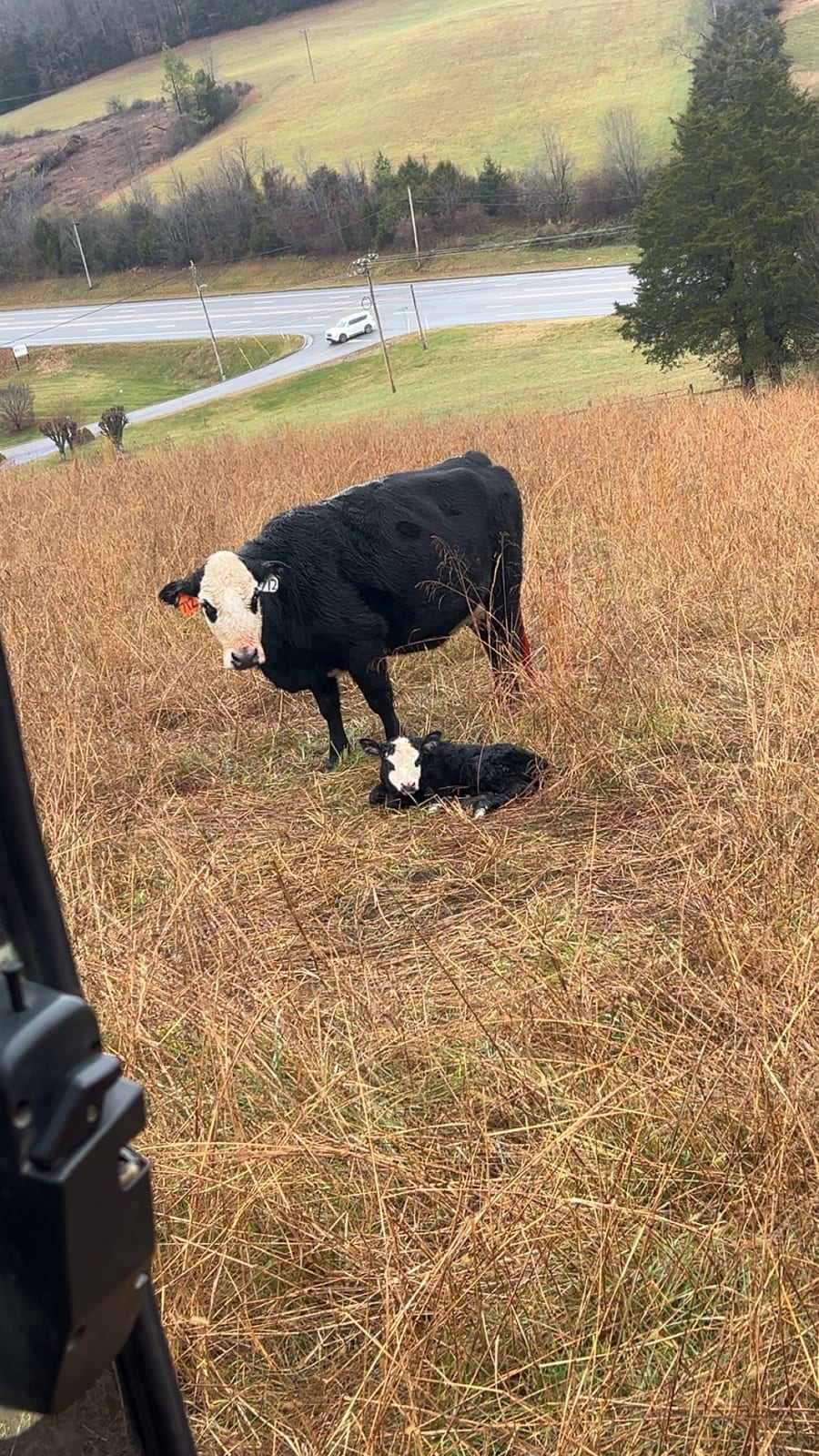 Meet Peanut, Our Cattle Man and Race Car Driver