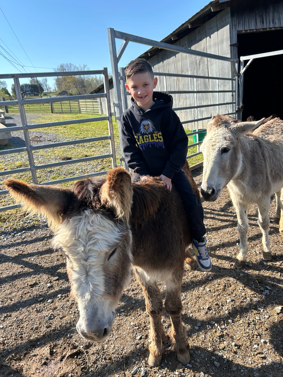 Meet Peanut, Our Cattle Man and Race Car Driver