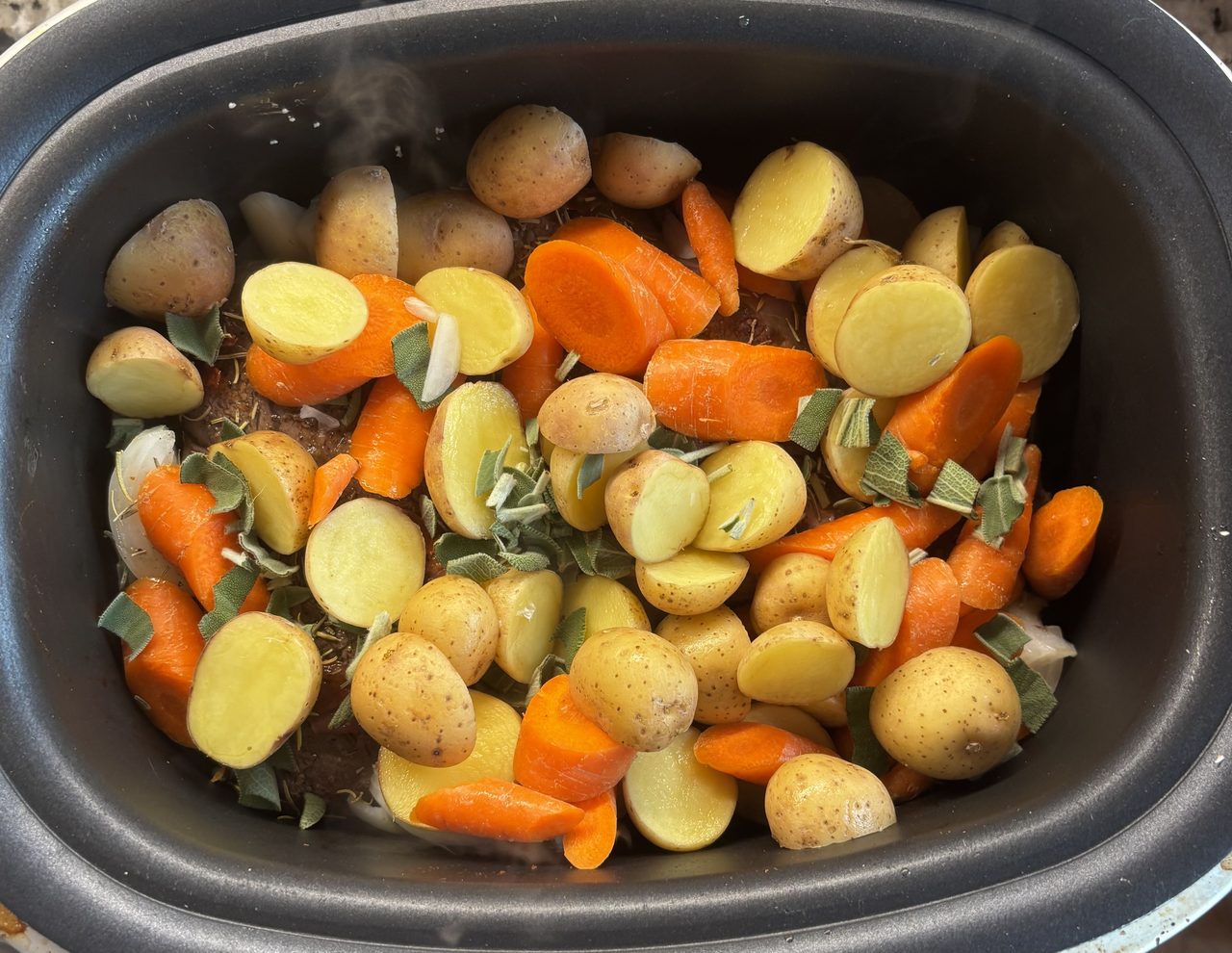 Bison Pot Roast